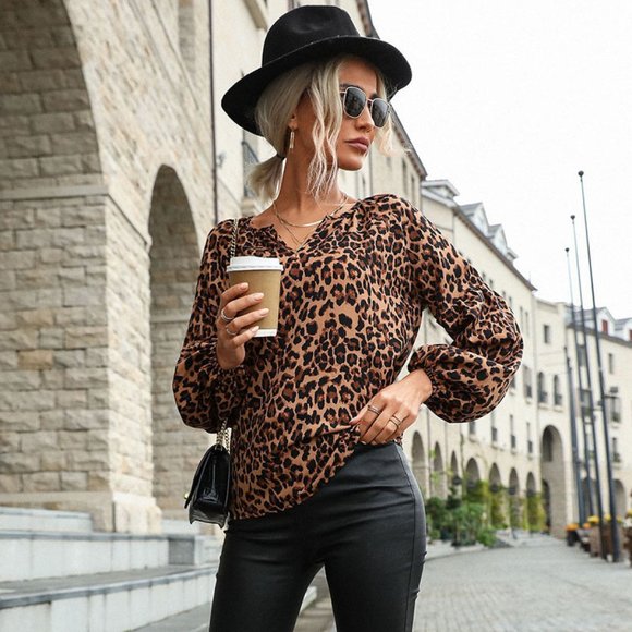 Passion of Essence Tops - Pullover Leopard Print Long-Sleeved V-Neck Blouses